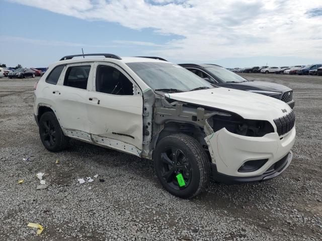 2019 JEEP CHEROKEE L - 1C4PJMLBXKD451965