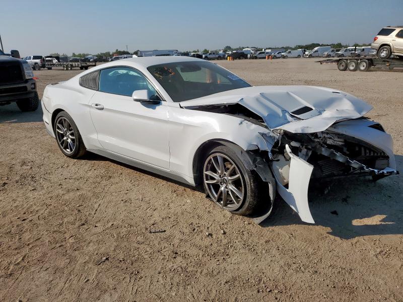 2021 FORD MUSTANG - 1FA6P8TH0M5105142