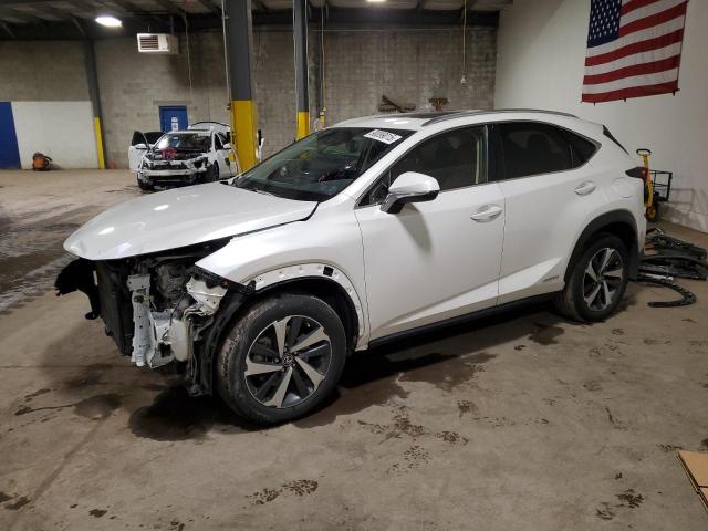 2021 LEXUS NX 300H BA JTJGJRDZ5M2166272