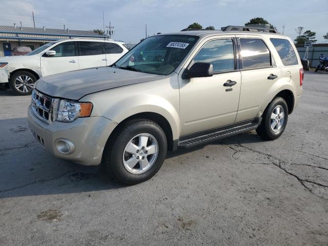 Global Auto Auctions: 2012 FORD ESCAPE XLT
