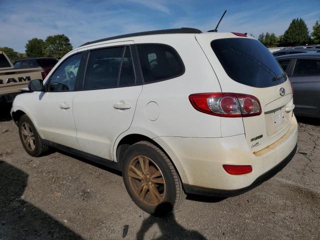 2010 HYUNDAI SANTA FE G - 5NMSGDAB9AH416674