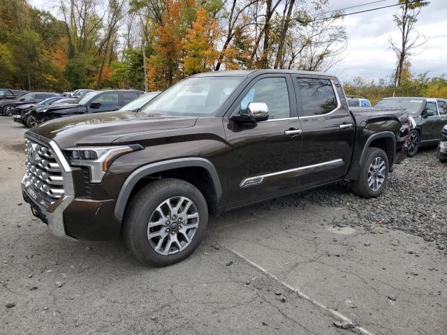 Global Auto Auctions: 2025 TOYOTA TUNDRA CRE
