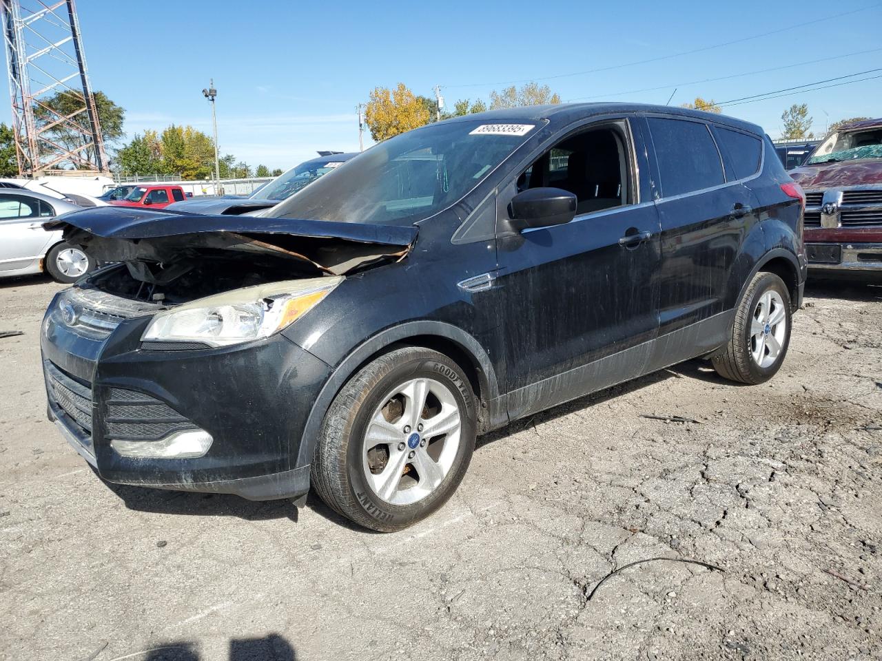 Lot #3278532392 2014 FORD ESCAPE SE