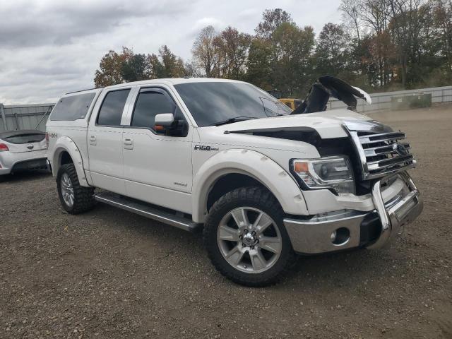 2013 FORD F150 LARIA #3290200218