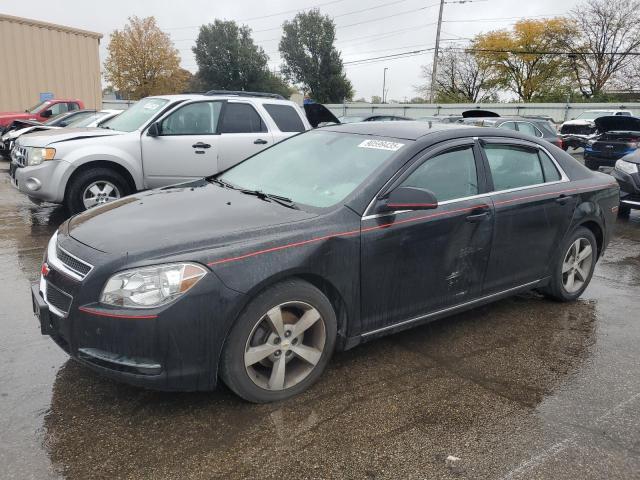2011 CHEVROLET MALIBU 1LT - 1G1ZC5E19BF196168