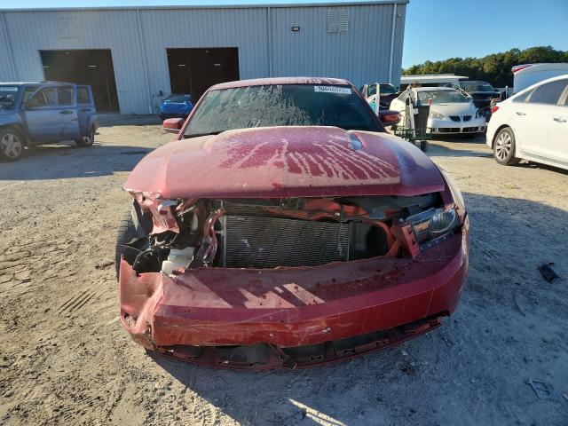 2010 FORD MUSTANG GT - 1ZVBP8CH2A5104429