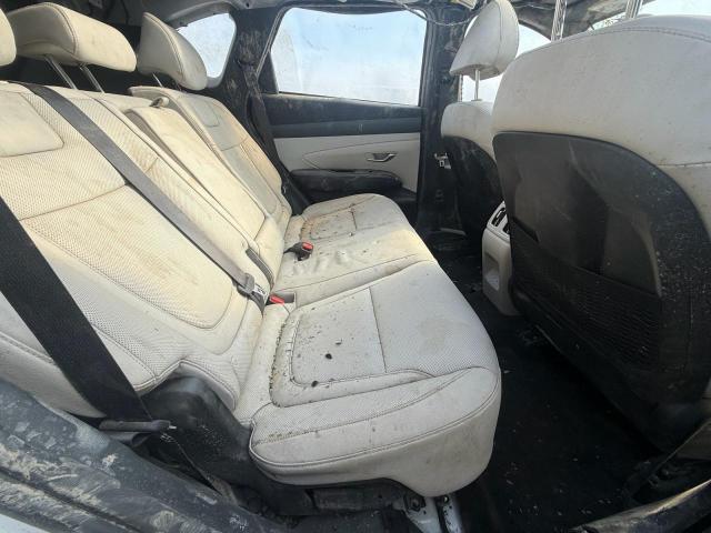 2025 HYUNDAI TUCSON SEL - KM8JCDD16SU287194