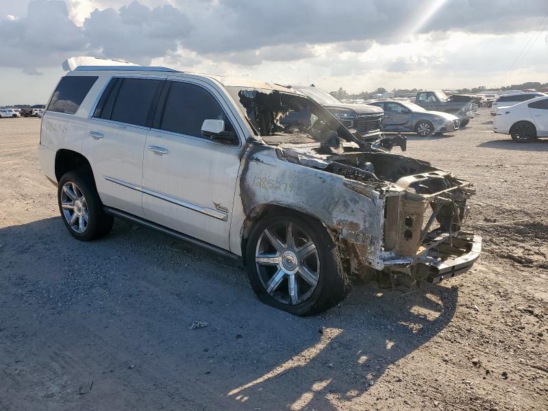 2015 CADILLAC ESCALADE P - 1GYS4CKJXFR201066