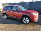 Lot #3309374992 2024 TOYOTA RAV4 LE