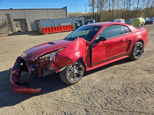 Global Auto Auctions: 2000 FORD MUSTANG