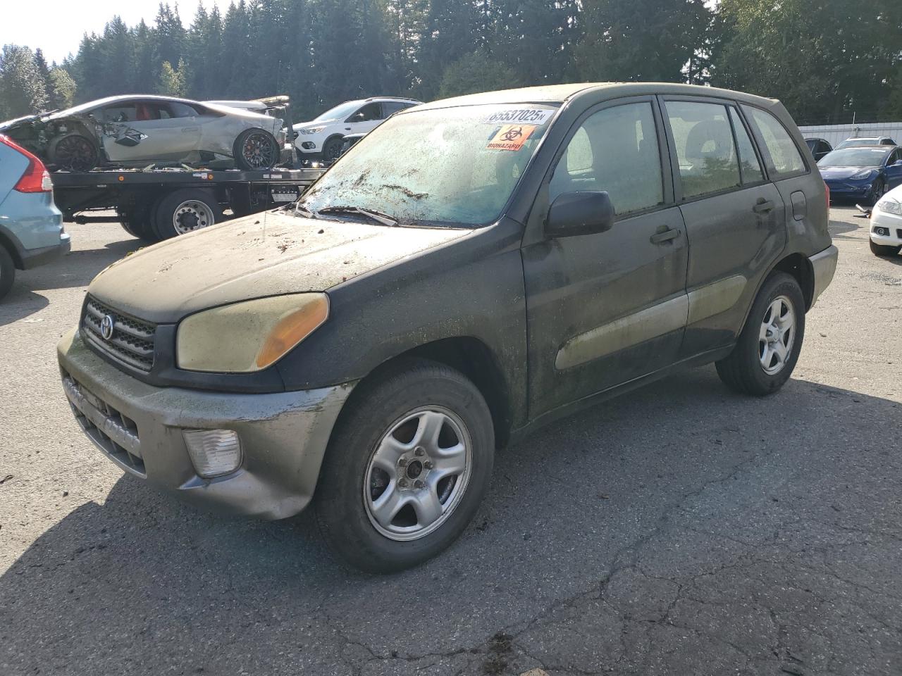 Lot #3258850808 2002 TOYOTA RAV4