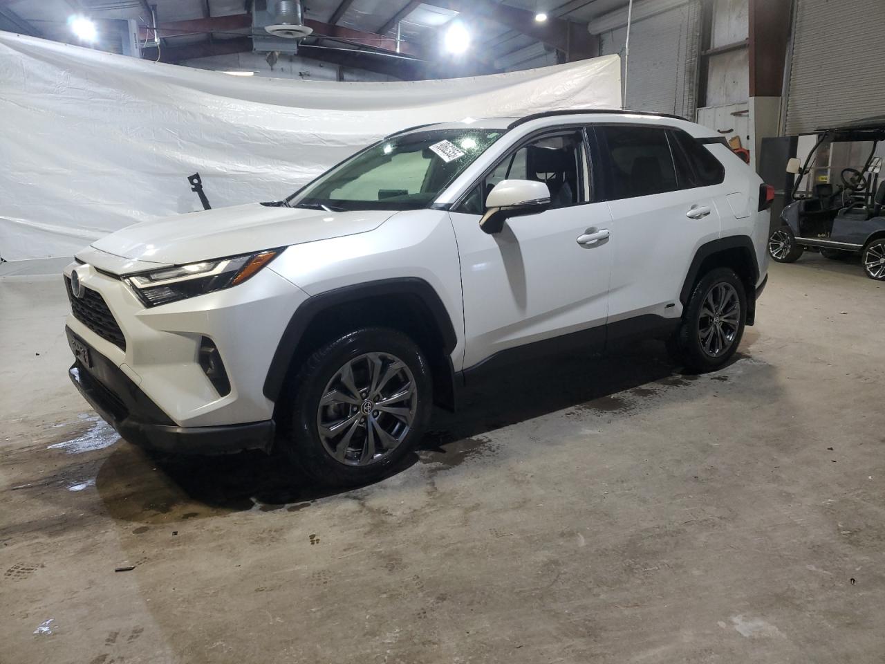 TOYOTA RAV4 XLE PREMIUM