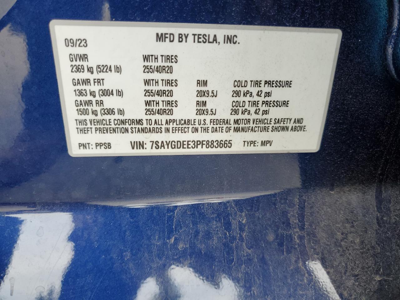 TESLA MODEL Y