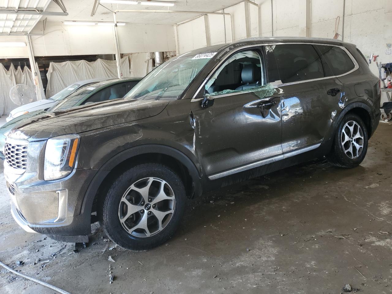 KIA TELLURIDE EX
