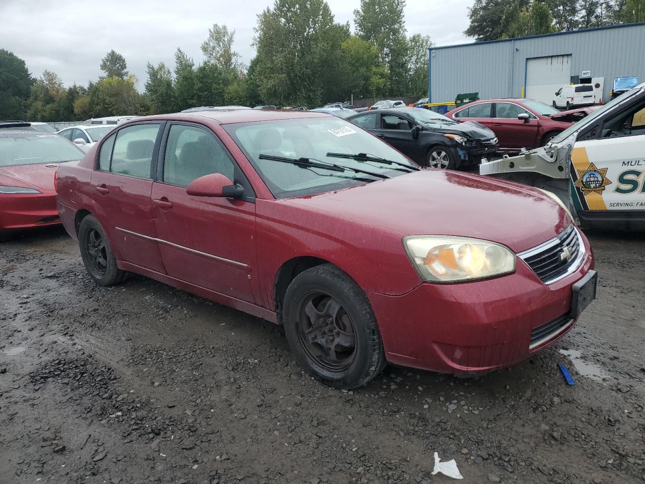 Lot #3259448104 2006 CHEVROLET MALIBU LT