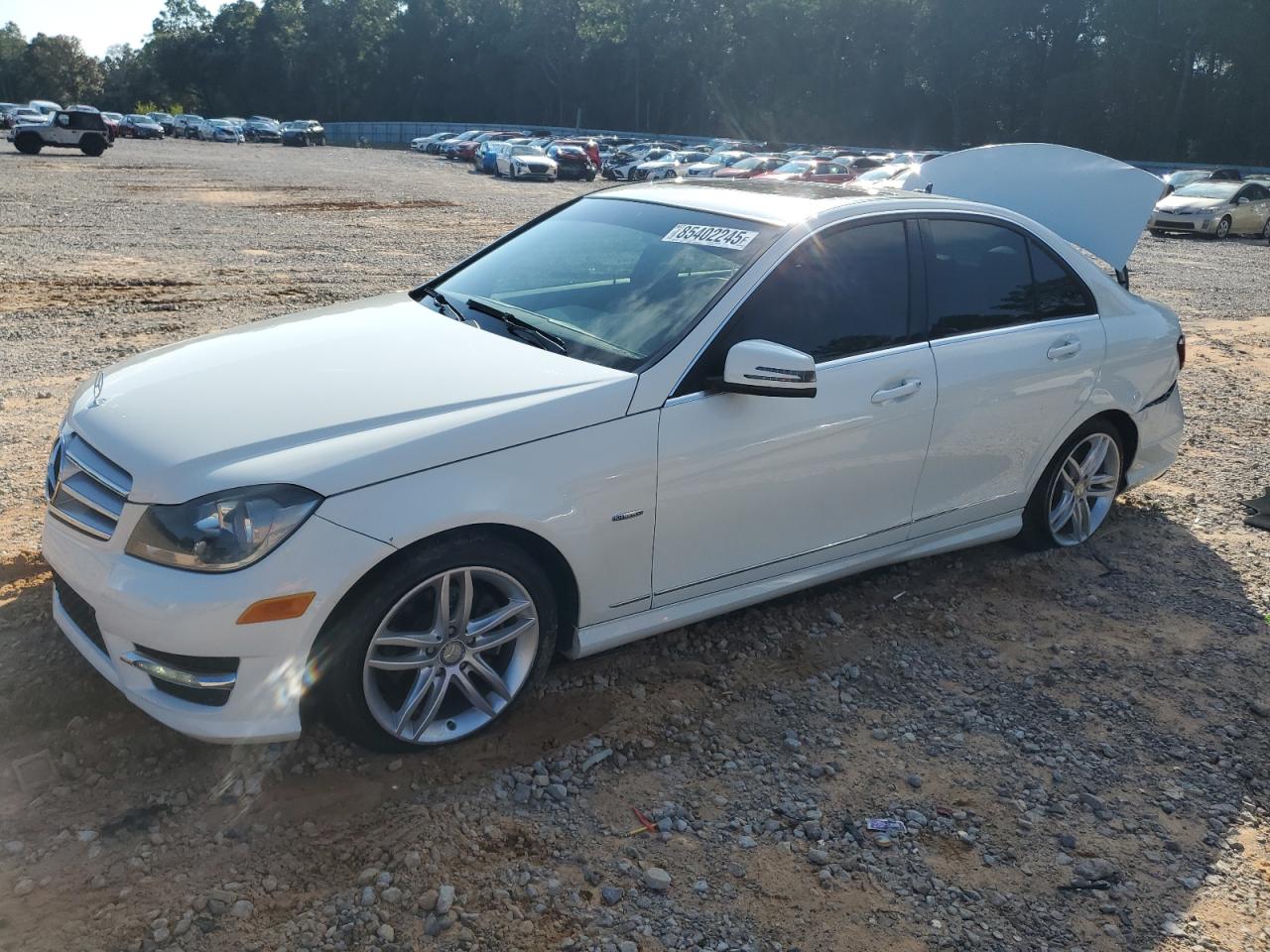 MERCEDES-BENZ C-CLASS 250