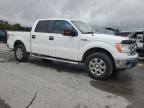 Lot #3305491067 2013 FORD F150 SUPER