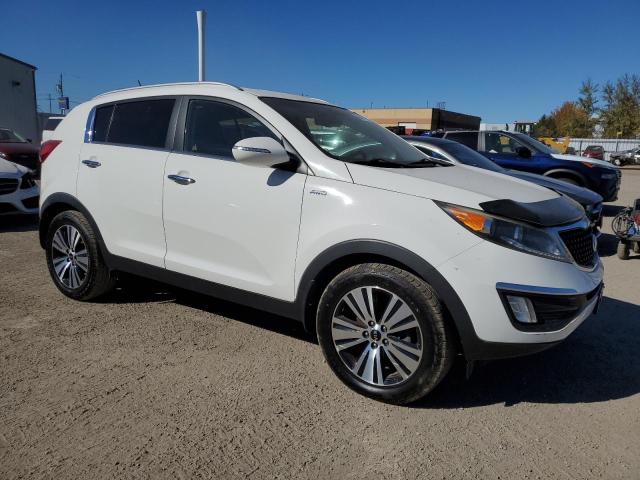 2016 KIA SPORTAGE E - KNDPCCAC4G7818588
