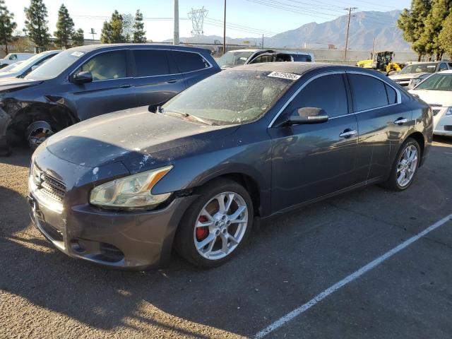 Global Auto Auctions: 2011 NISSAN MAXIMA S