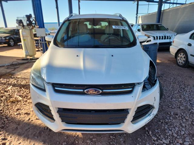 2016 FORD ESCAPE TIT - 1FMCU0J96GUC80651