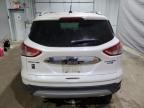 Lot #3316806398 2014 FORD ESCAPE TIT