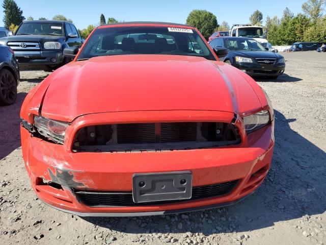 2013 FORD MUSTANG - 1ZVBP8EM6D5239282