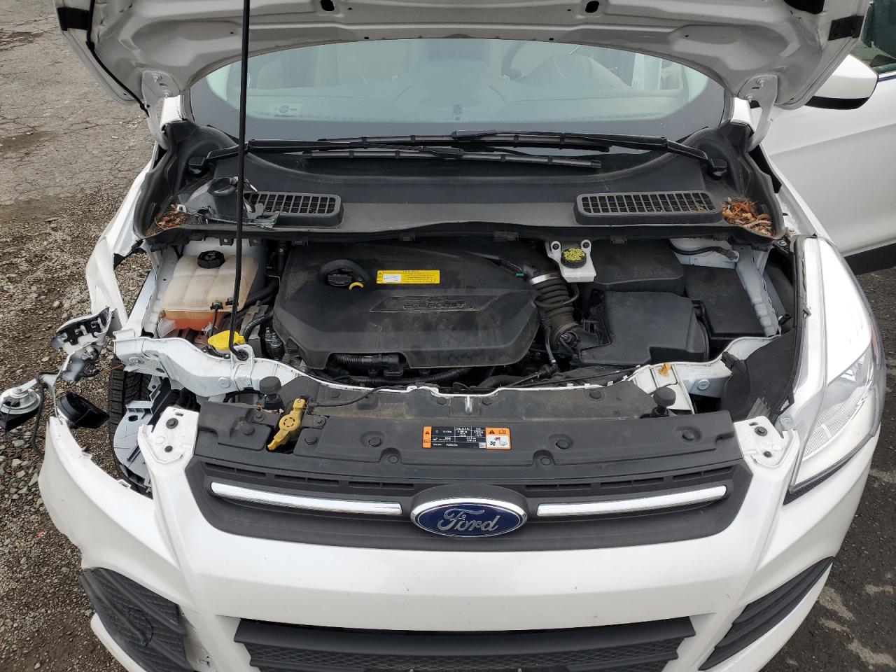 FORD ESCAPE SE
