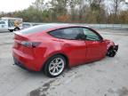 Lot #3303880717 2023 TESLA MODEL Y