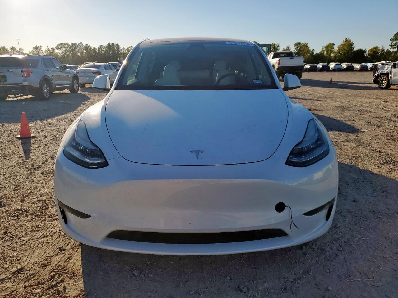 Lot #3304817542 2023 TESLA MODEL Y