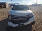 Lot #3303856521 2014 HONDA CR-V EXL