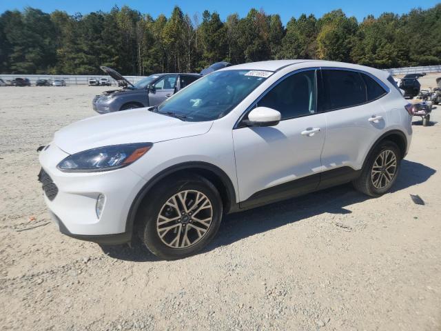 FORD ESCAPE SEL
