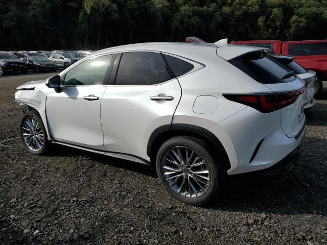 2025 LEXUS NX 350H BA #3287444992