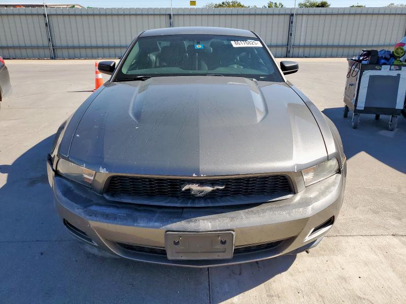 2011 FORD MUSTANG - 1ZVBP8AM1B5166406