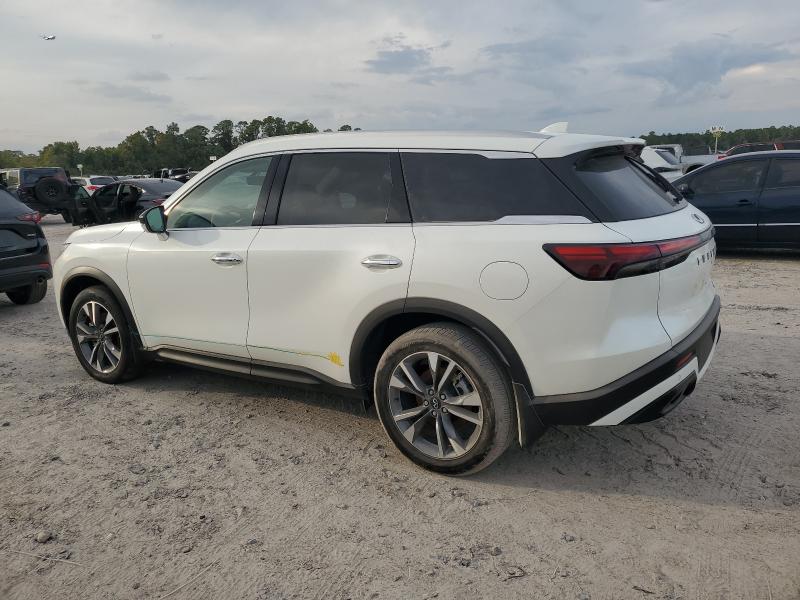 2025 INFINITI QX60 LUXE #3296213406