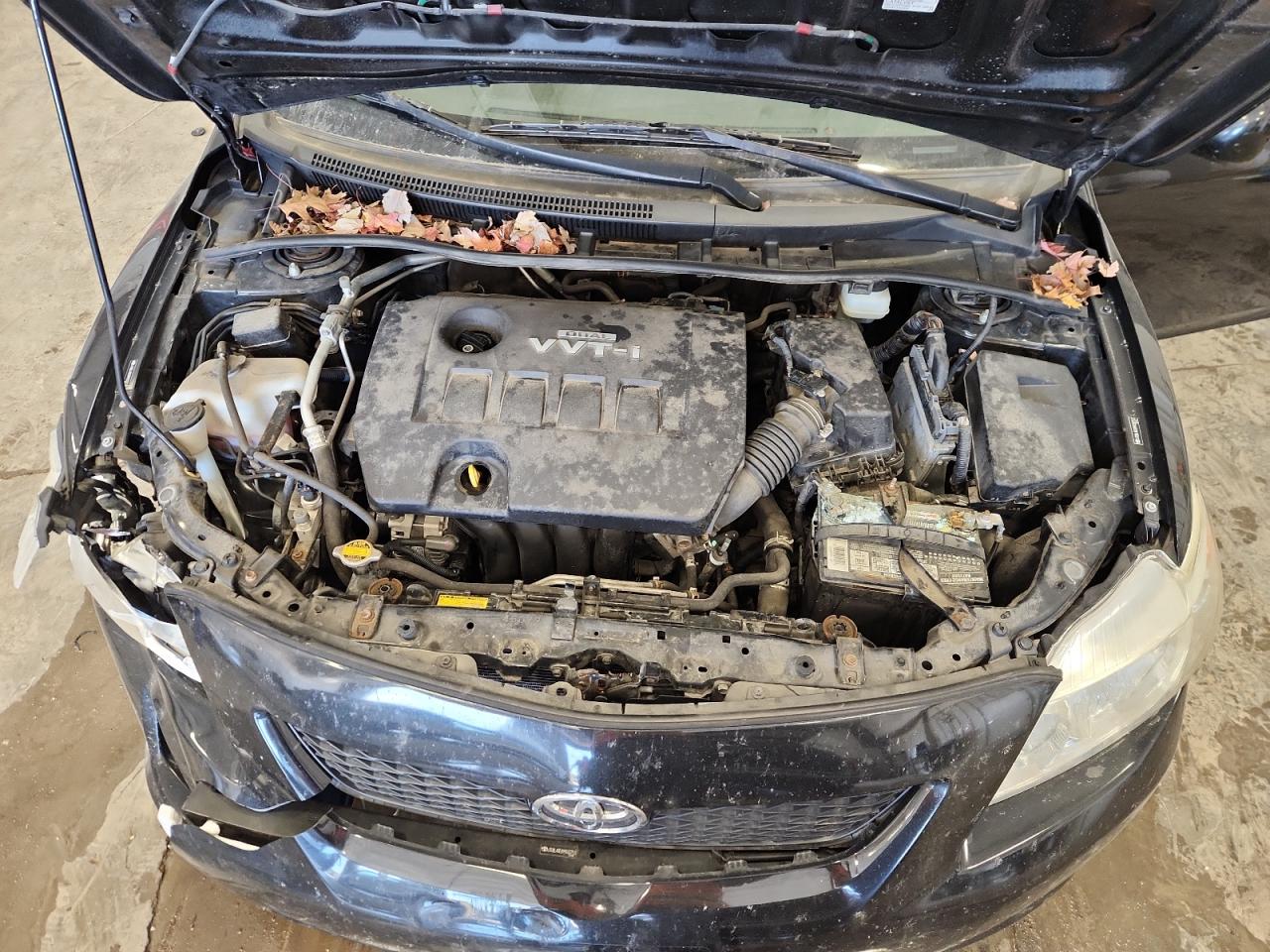 Lot #3297186865 2009 TOYOTA COROLLA BA