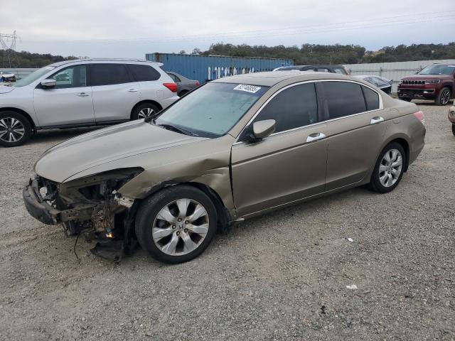 2010 HONDA ACCORD EXL - 1HGCP3F81AA023159