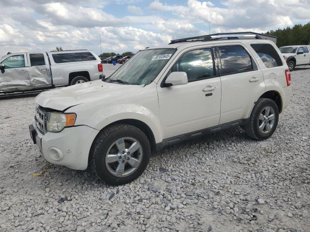 2010 FORD ESCAPE LIM - 1FMCU9EG6AKC62196