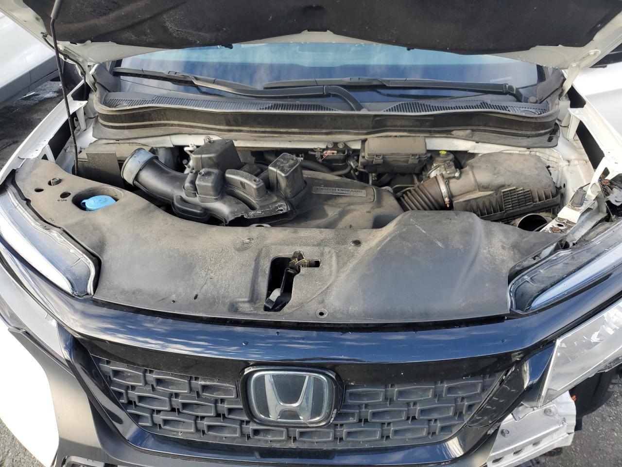 HONDA PASSPORT ELITE