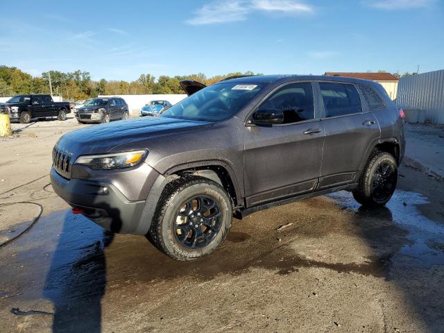 Global Auto Auctions: 2022 JEEP CHEROKEE T