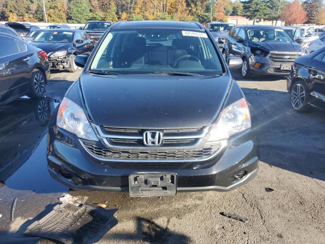 2010 HONDA CR-V EX - Other View