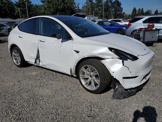 2021 TESLA MODEL Y #3291201990