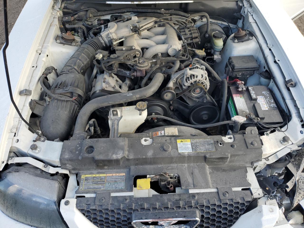 Lot #3294187941 2001 FORD MUSTANG