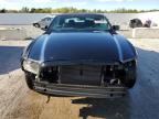 Lot #3296313484 2013 FORD MUSTANG