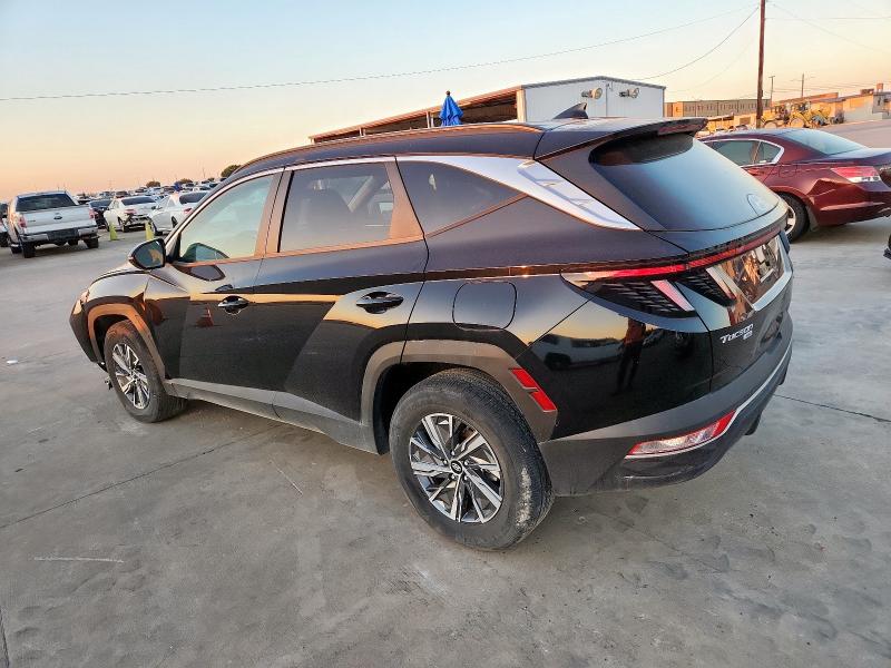 2022 HYUNDAI TUCSON BLU KM8JBCA18NU020788