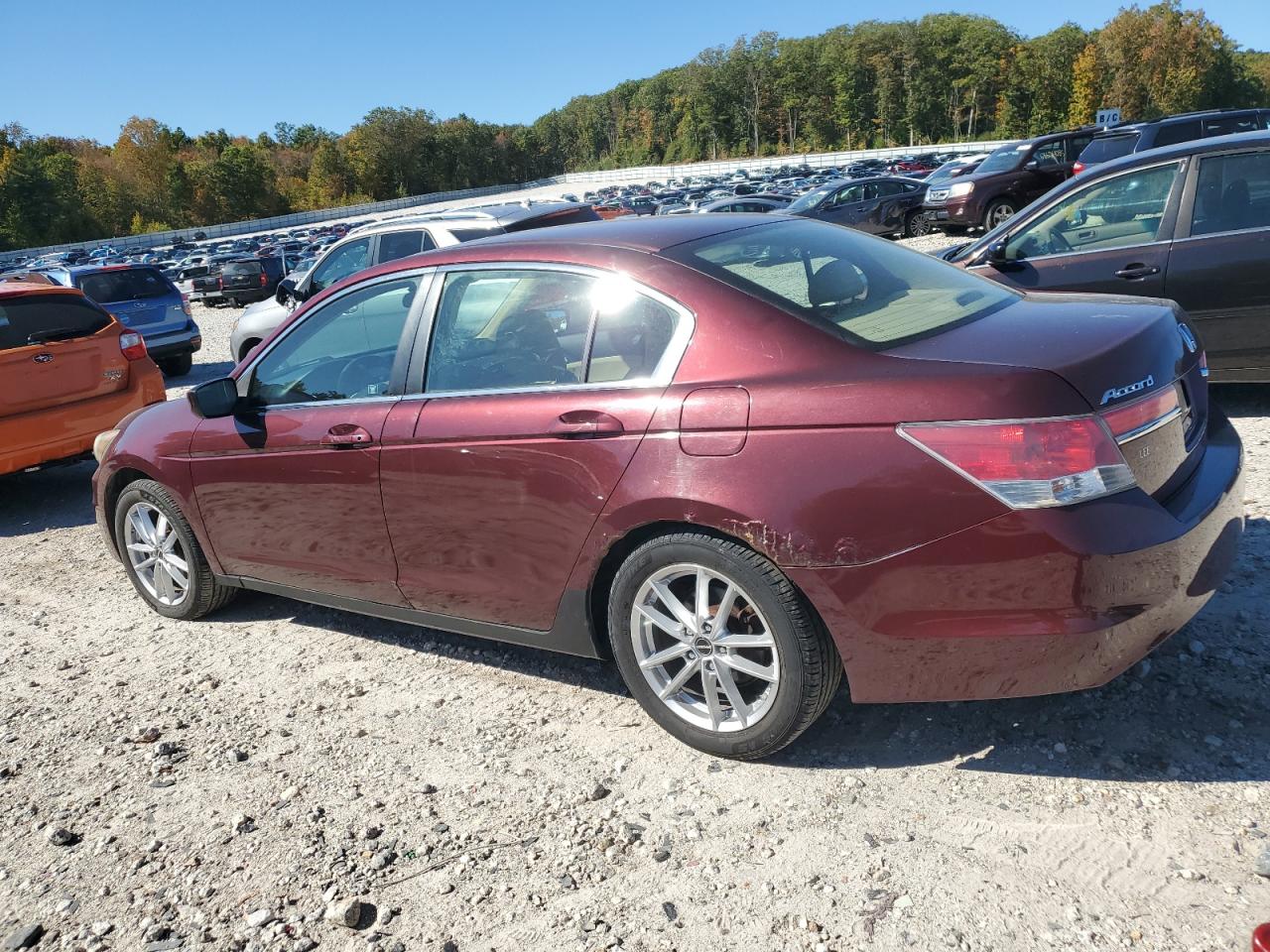 HONDA ACCORD EX