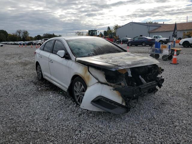 2017 HYUNDAI SONATA SPO 5NPE34AF2HH502143