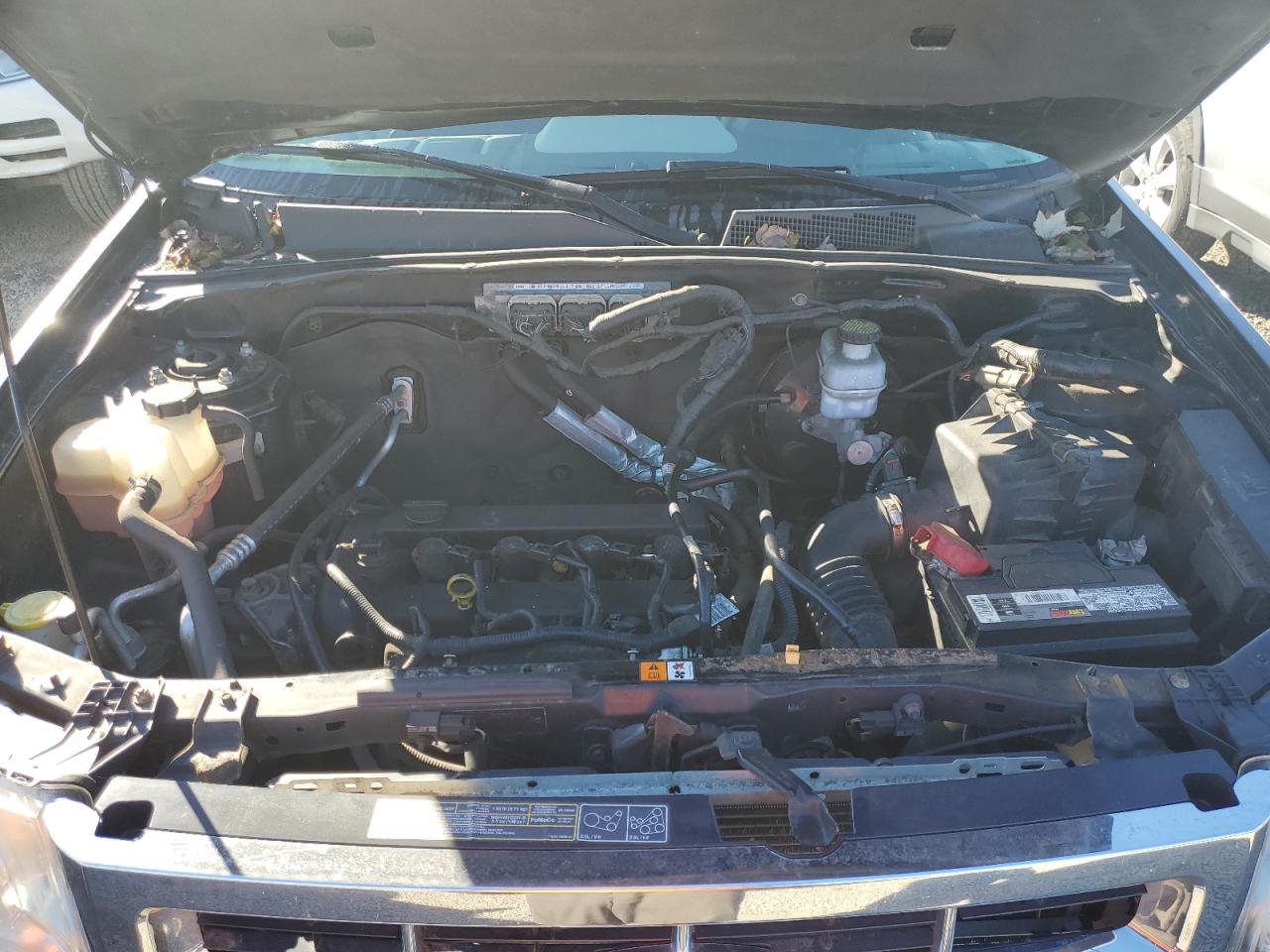 Lot #3317758070 2011 FORD ESCAPE XLS