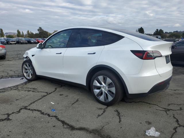 2023 TESLA MODEL Y 7SAYGDEE3PA150240