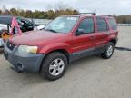 Lot #3317830222 2007 FORD ESCAPE XLT