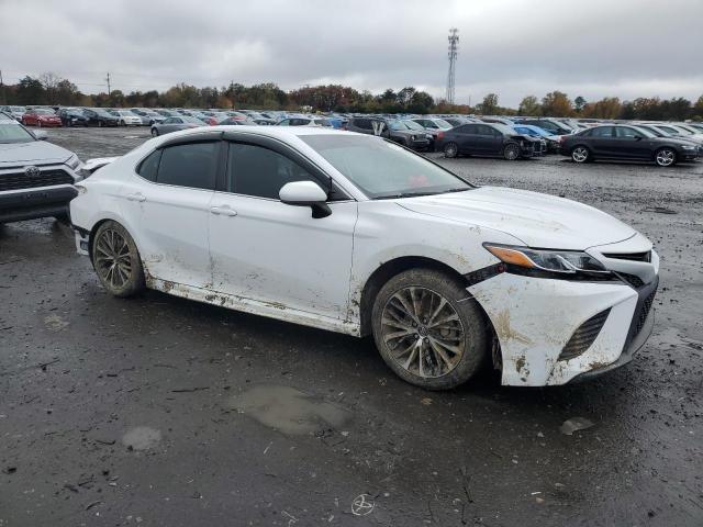 2019 TOYOTA CAMRY - 4T1B11HK8KU179980